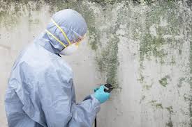 Best HVAC Mold Inspection and Cleaning  in Fort Drum, NY